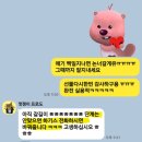 유한회사 올더파인더 | 하기스 기저귀 사이즈 무료교환 받기
