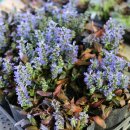 두륜산농장 이미지