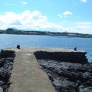 제주 토끼섬 문주란자생지 이미지