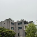 분당-82 | 분당 카페드노피 애견 동반 카페 브런치 내돈내산 후기