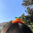 동머리농장 이미지