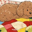 보비동물병원 이미지