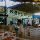 대풍청과 네이버블로그