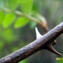 산초식당 이미지