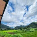 하나 바이크 | 춘천 김유정 레일바이크 후기