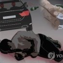 사망 교통사고 내고 도주 20대 긴급체포 이미지