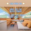 탐스럽개 이미지