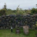 박별김모리 민박 | 제주도 숙소 ‘박별김모리’ 후기