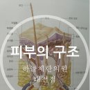 김상헌한의원 네이버블로그