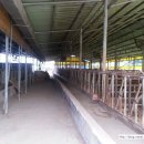 흥림농장 이미지