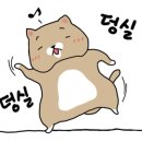 여서도직영회집 이미지