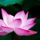 패션나라 | 패션 아이디어를 위한 블로그 탐방
