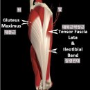 니드짐 구파발점 이미지