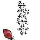 사랑하는 곡천님 이미지