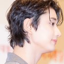 멍뭉미 MBC연예