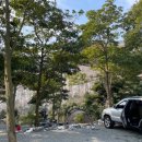 진도 카멜리아 힐즈 오토캠핑장 이미지