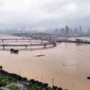 세종시청뒤편 이미지