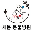 새봄동물병원 이미지