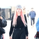 핑크레이디 - 예산군 임성로 41 | 핑크레이디