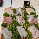 도깨비회수산 | 강릉 주문진 방파제회센터 찐수산대게횟집 특선모듬회 3인