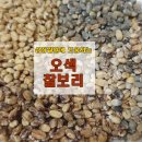 이(E)-웰빙마켓 | 귀리 이렇게 먹으면 염증·콜레스테롤 관리에 도움! 항산화 효과 높이는 오트밀 먹는 방법