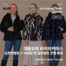 대동라이브