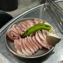 식껍 진도점 이미지