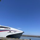 서진도식당 이미지