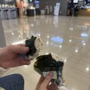 참샘물2호약수터 | 제주 좋아마시📸🩵