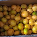 대저초등학교 이미지