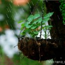 생초IC주유소 이미지