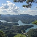 게으른 악어 이미지