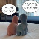 뚜레쥬르 진도점 | 3-1 4월 마지막주 ~5월 첫째주 일상 여수디오션결혼식장/스타벅스씨솔트/간호락rock과3학년실습후기