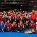 월드컵태권도 이미지