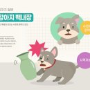 더 건강한 동물병원 이미지