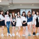나인뮤지스 카카오 검색결과