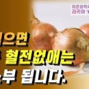 양파 양파의 효능 내가 좋아하는 양파 이미지