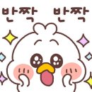 쌍용카매니아 이미지