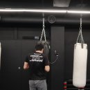 팀 해명 짐 이미지