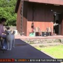 냥냥민박 이미지