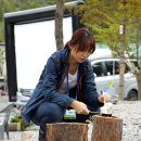 뮤직캠프(MUSIC CAMP) 이미지