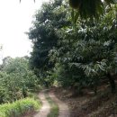 요동농장 이미지