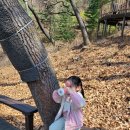 용마산 자락길 코스 티스토리