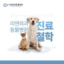 리연외과동물병원 이미지