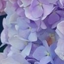 이룸의원 이미지