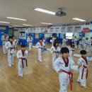 용인대 활기찬 태권도장 이미지