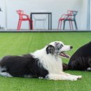 대릉원스테이 이미지