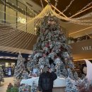 뜻밖의 발견 | 파주 운정 스타필드 빌리지 크리스마스 방문기 &amp; 뜻밖의 중식 맛집 발견! (솔직 후기)