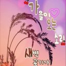 배불뚜기 이미지