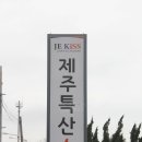 제주쇼핑